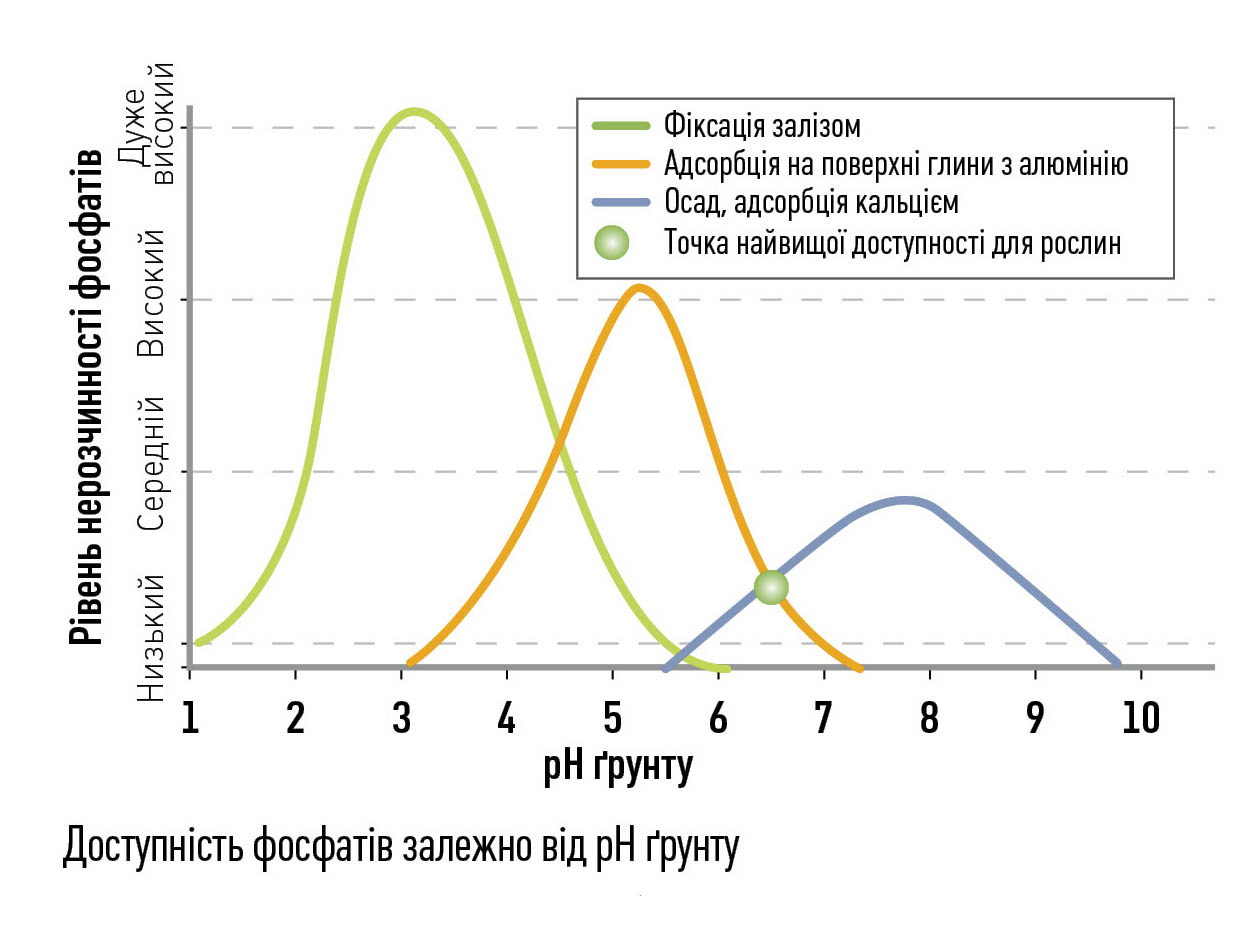 Доступність фосфатів залежно від pH ґрунту