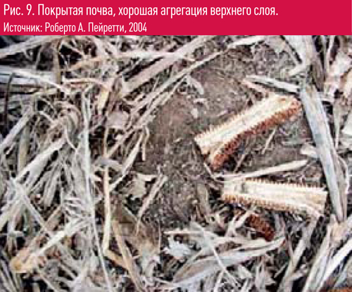 Рис.9. Покрытая почва, хорошая агрегация верхнего слоя