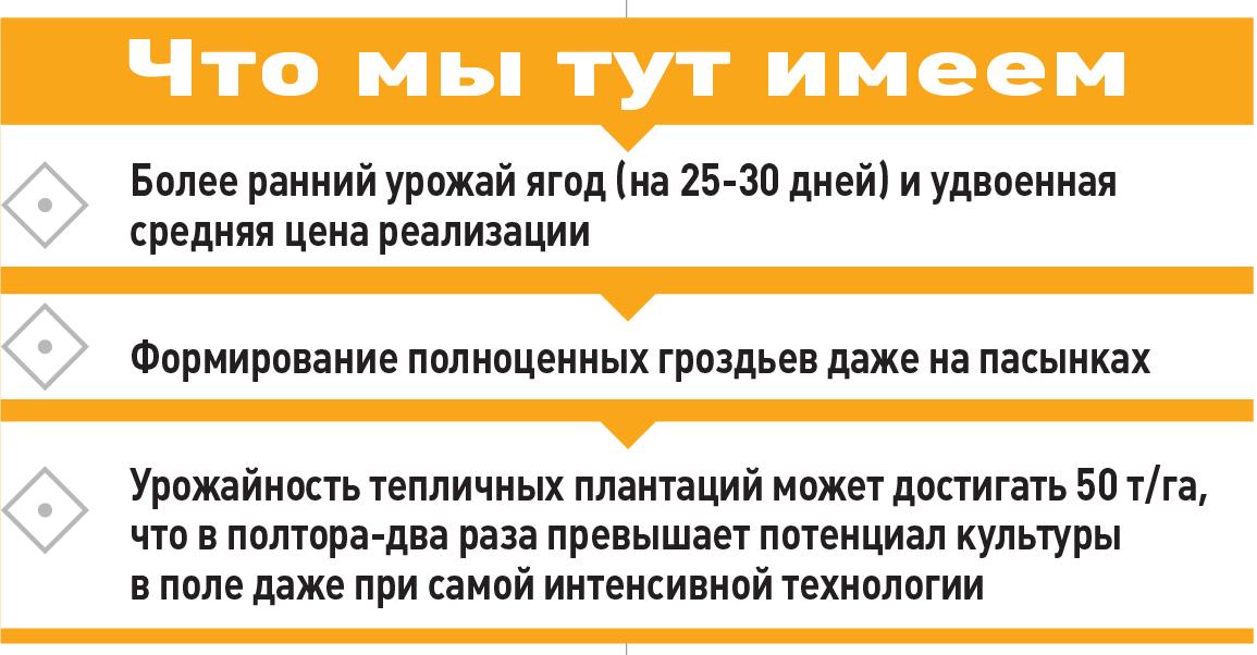 Схема 1. Суперранний виноград