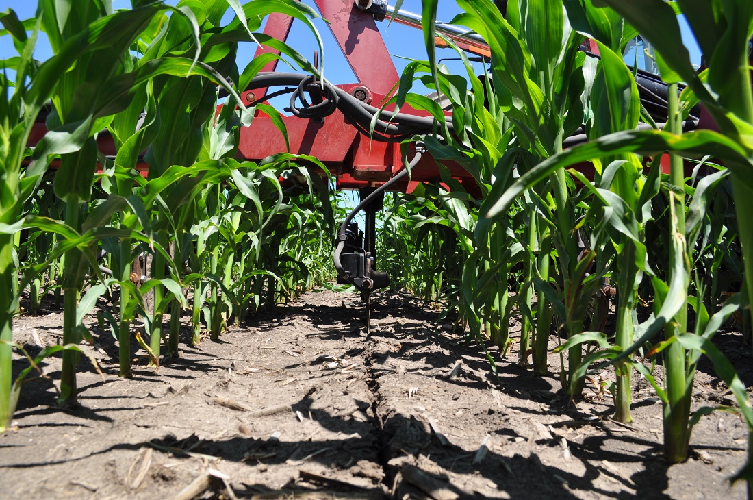 Фото 3. Sidedress - популярна технологія в США