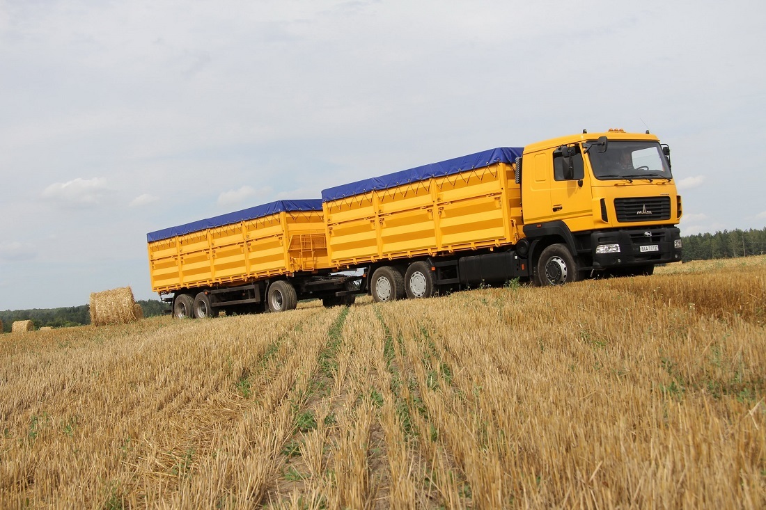 Аграрна логістика в усій красі: реалії