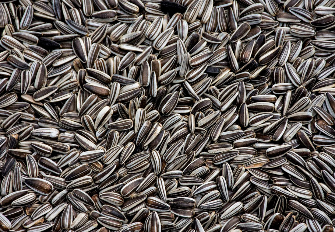 Чому аграрії не продають за максимальними цінами