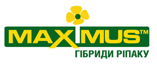 Ефективність азотного живлення та перевага гібридів  MAXIMUS