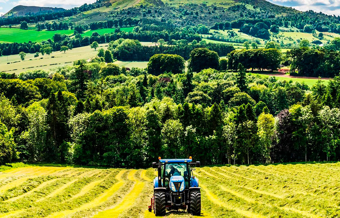 В Украине наблюдается значительное падение сельхозпроизводства