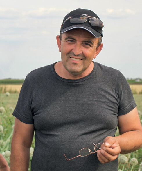 Поля квітучої цибулі, моркви й базиліку…