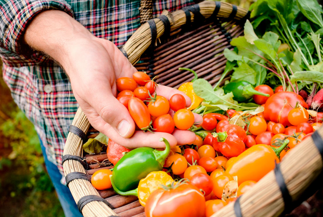 90% експорту української органічної продукції купує Європа