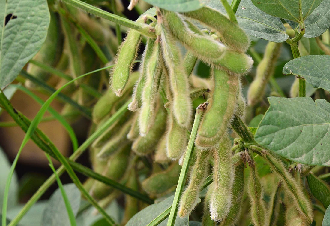 В компанії добрих людей