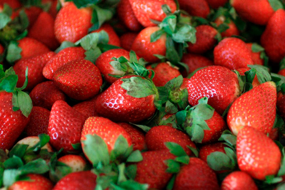 В компанії добрих людей