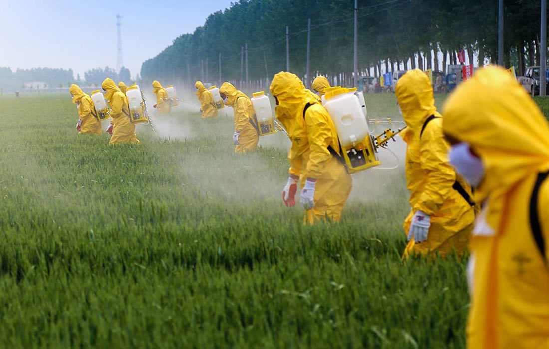 Леонід Козаченко вважає ризикованим кроком лібералізацію пестицидів та агрохімікатів в Україні