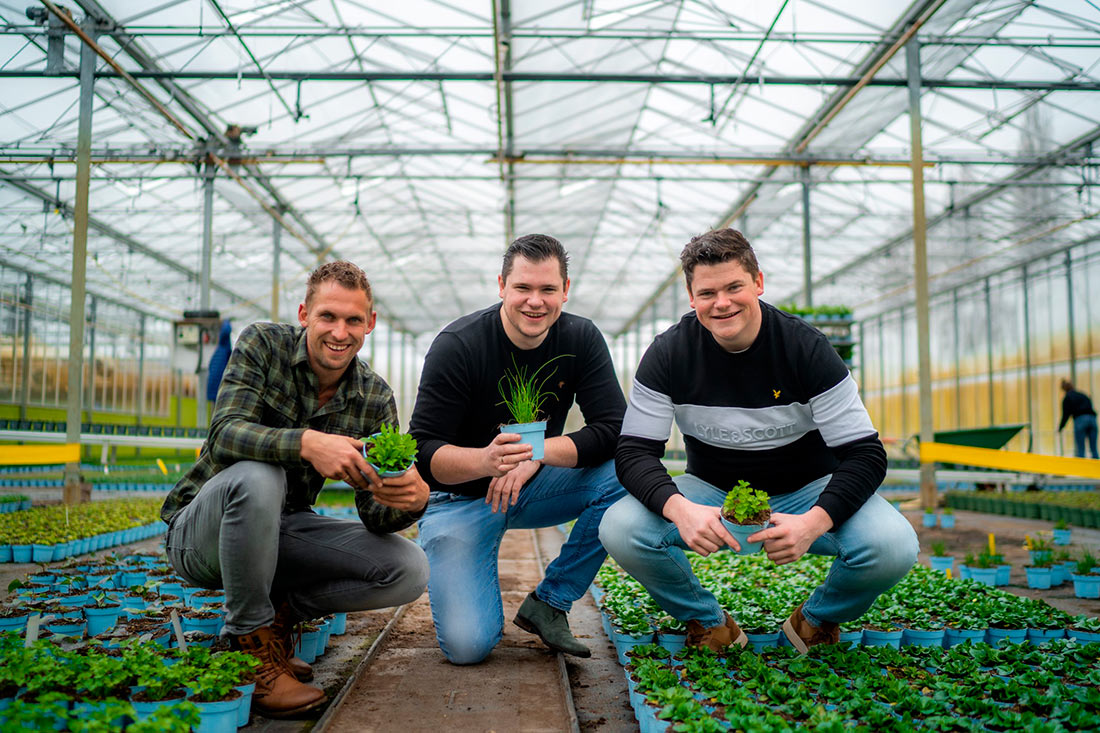 Свежая зелень на пике популярности (ФОТО)