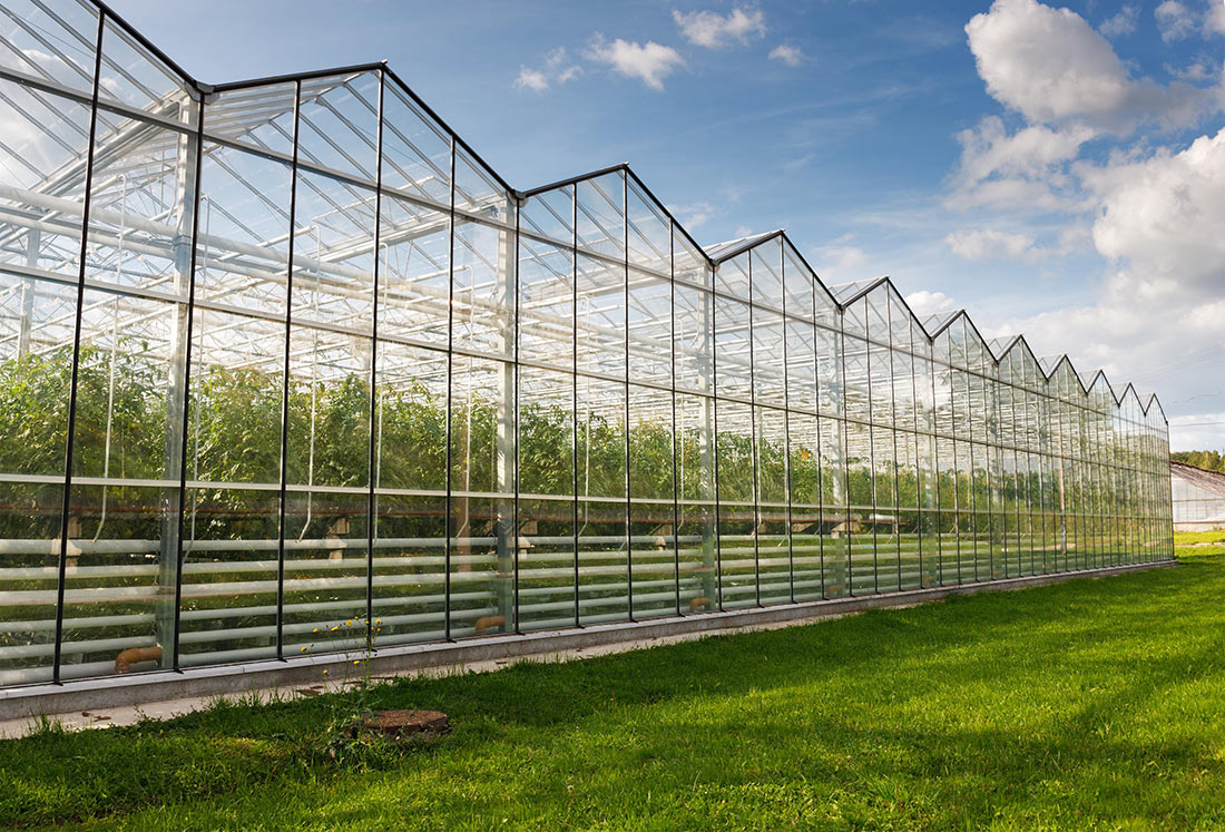 В компанії добрих людей