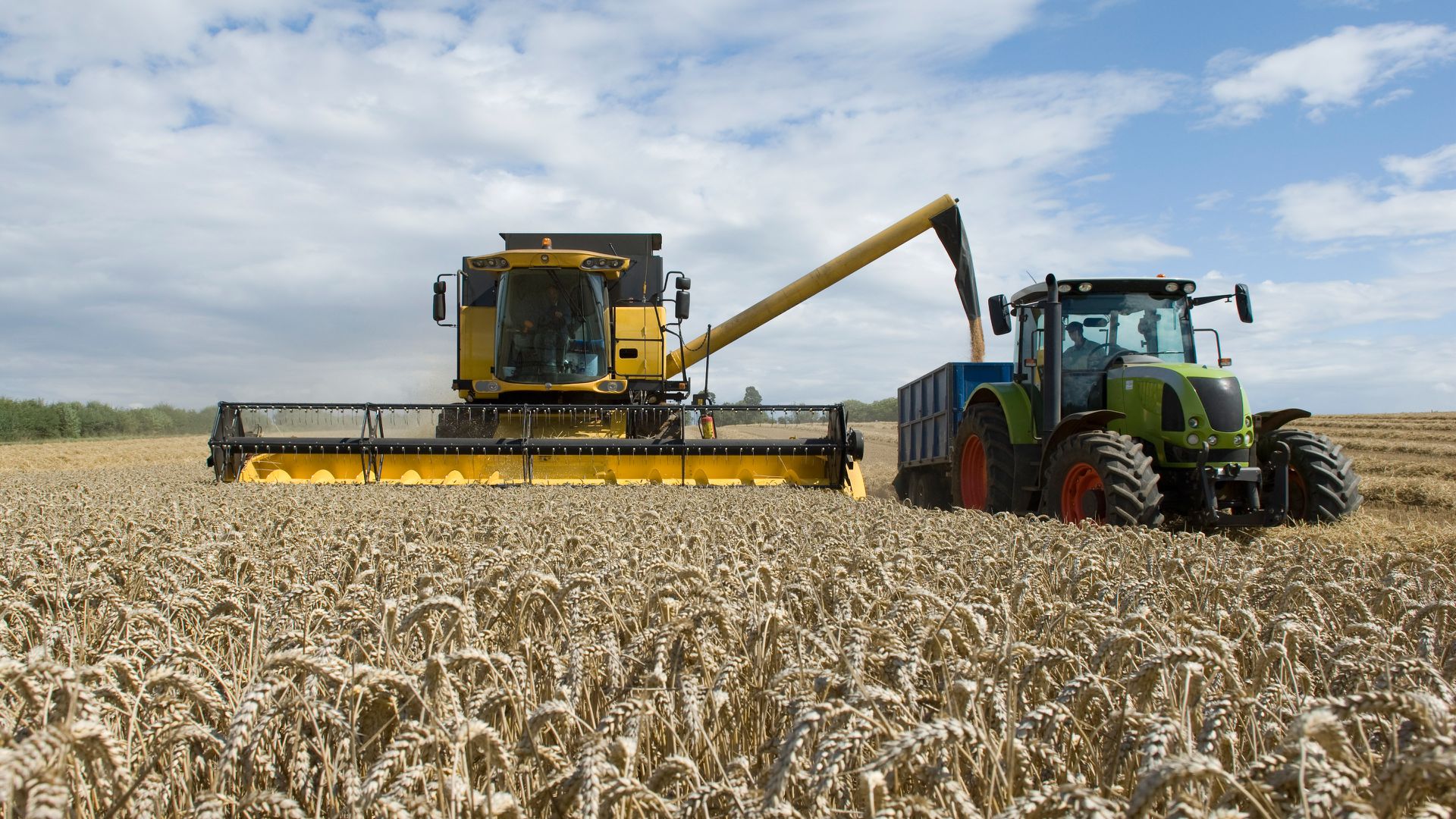 В Україні з’явилася платформа для продажу зерна — Agro.Forum