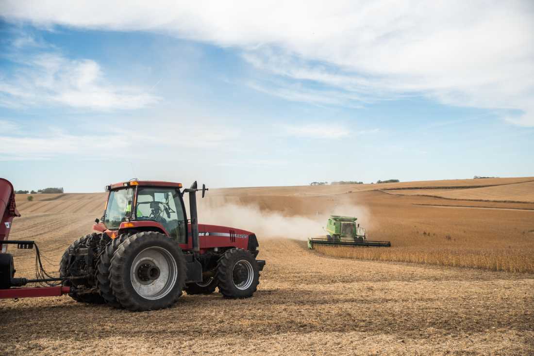 Посівна коштуватиме дорожче: розрахунки “Інституту аграрної економіки”