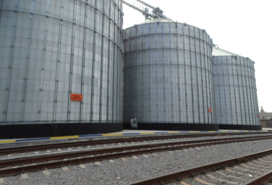 Як збільшити експортні можливості для аграрної продукції