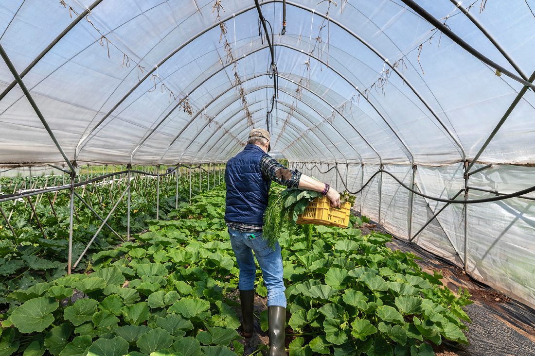 Аграрії попереджають про погіршення у 2023 році