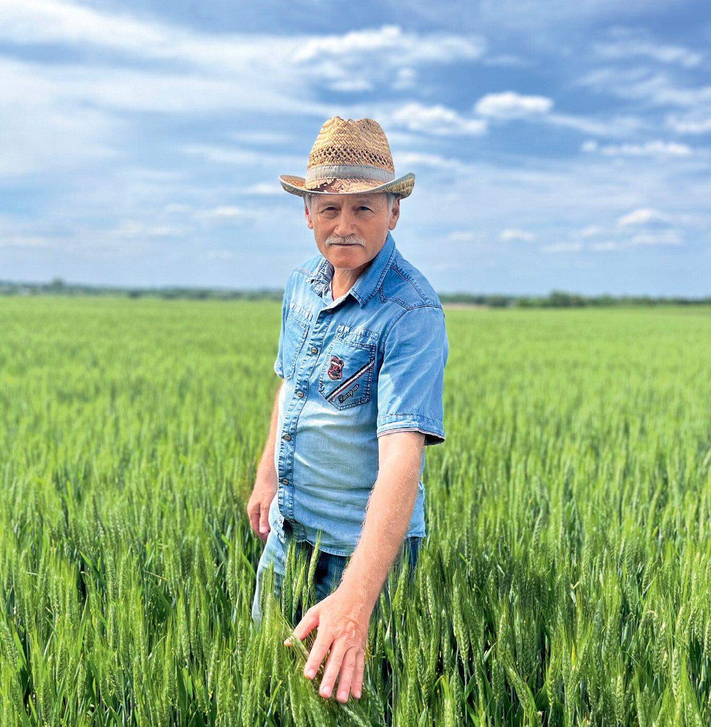 Удосконалюється все. Навіть No-till