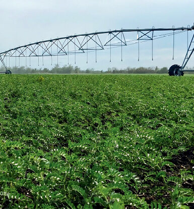 Фінансові програми підтримки відновлення систем зрошення для агровиробників