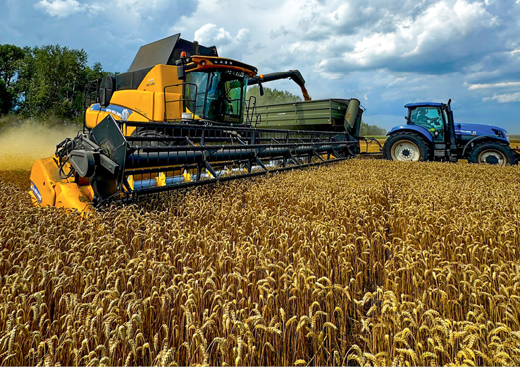 Рекордсмени з ІМК: 7,4 т/га – з 20 700 га!