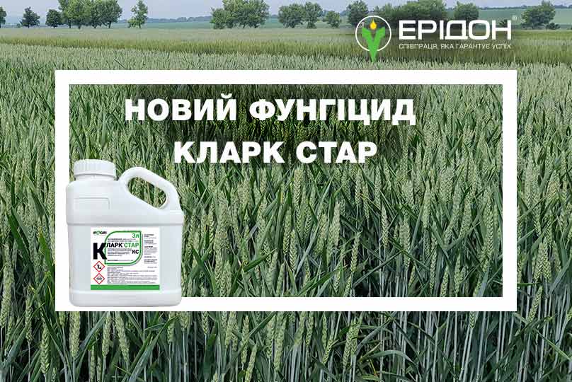 Інноваційний фунгіцид КЛАРК СТАР у портфелі засобів захисту рослин IFAGRI від «Ерідон»