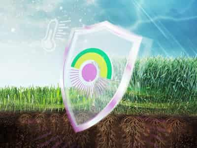 В компанії добрих людей